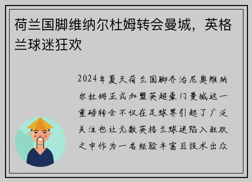荷兰国脚维纳尔杜姆转会曼城，英格兰球迷狂欢